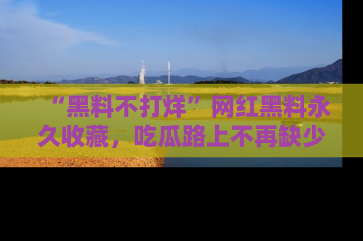 “黑料不打烊”网红黑料永久收藏,吃瓜路上不再缺少惊喜与乐趣