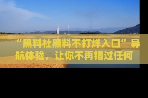 “黑料社黑料不打烊入口”导航体验,让你不再错过任何精彩黑料