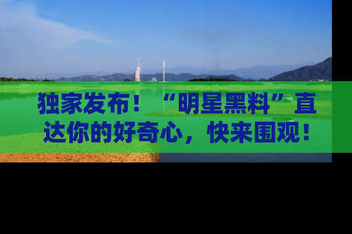 独家发布!“明星黑料”直达你的好奇心,快来围观!