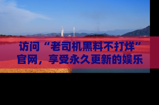访问“老司机黑料不打烊”官网，享受永久更新的娱乐八卦和内幕新闻！