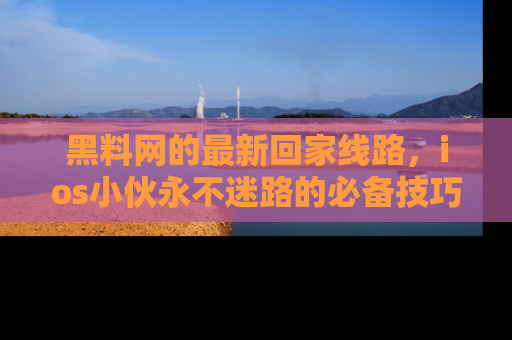 黑料网的最新回家线路,ios小伙永不迷路的必备技巧!