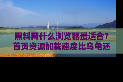 黑料网什么浏览器最适合?首页资源加载速度比乌龟还慢的体验真心吐槽!