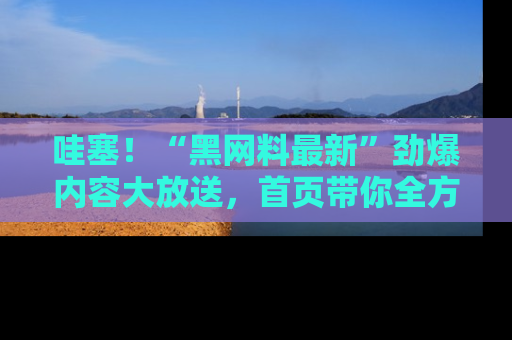 哇塞！“黑网料最新”劲爆内容大放送，首页带你全方位了解哦，小可爱们