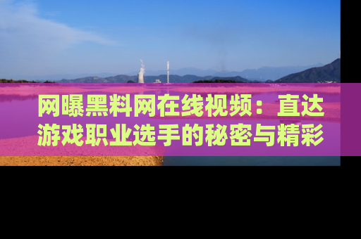 网曝黑料网在线视频：直达游戏职业选手的秘密与精彩动漫片段！