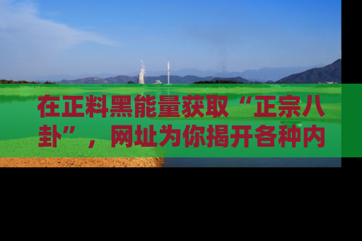 在正料黑能量获取“正宗八卦”,网址为你揭开各种内幕故事!