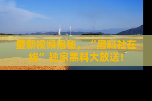 最新视频揭秘,“黑料社在线”独家黑料大放送!